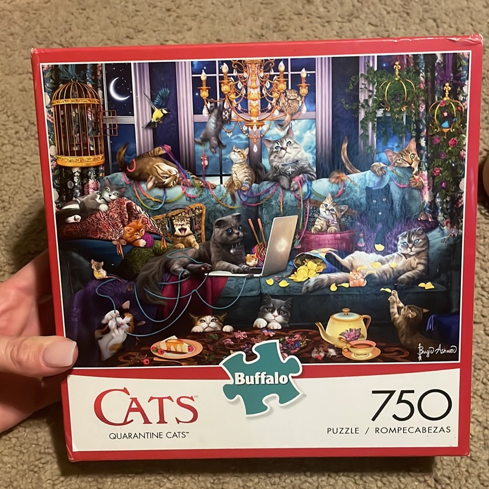 Cats quarantine cats buffalo puzzle, 750 pieces